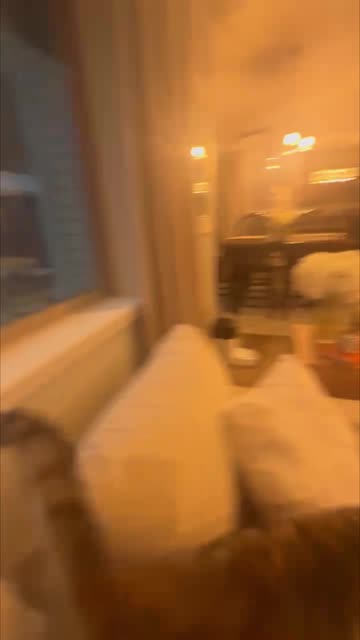 Rooftop Cannonball Startles Window Cat