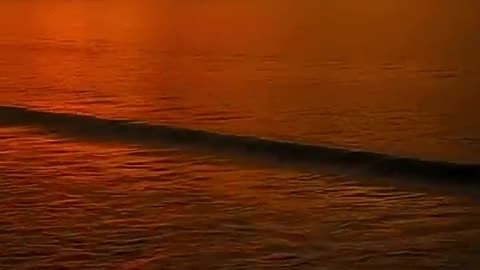 🏖️ Relaxing Beach Walk At Sunset
