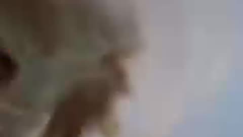 India vs Pakistan war #5 