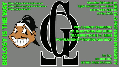 Gigaohm Biological High Resistance Low Noise Information Brief