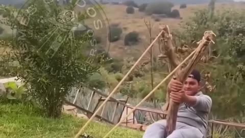 Relax, I'm an expert bro