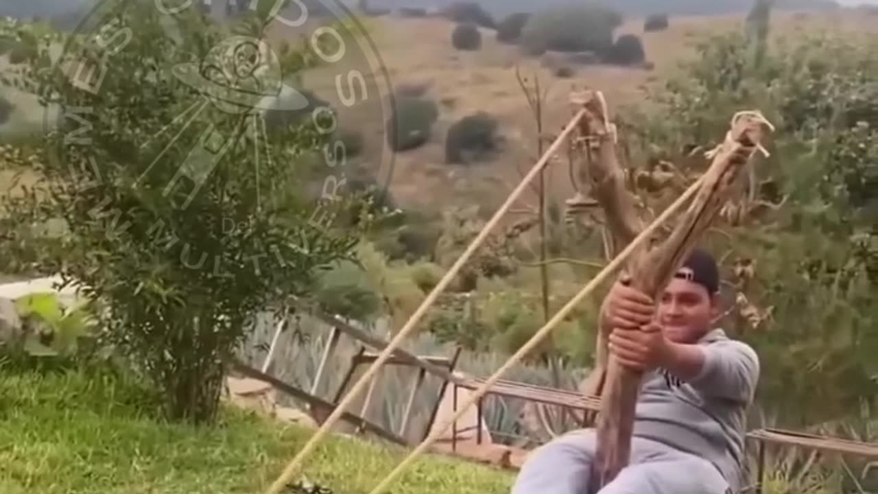 Relax, I'm an expert bro