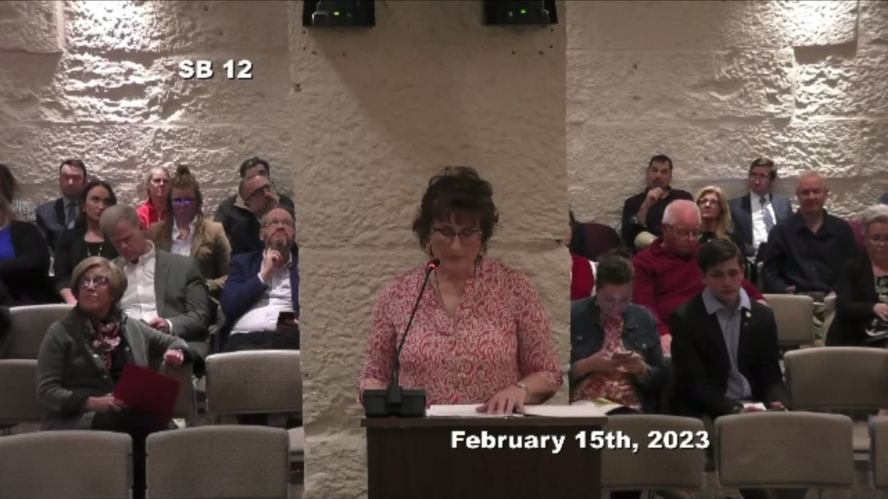 2023 Session 2/15 - SB12 committee - Pam Keyser