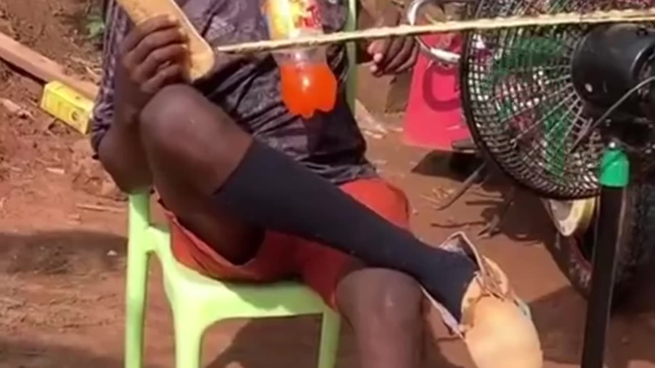 This will make your day 😂