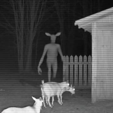 The Watcher in the Field