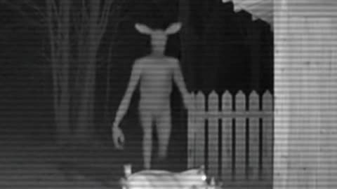 The Watcher in the Field