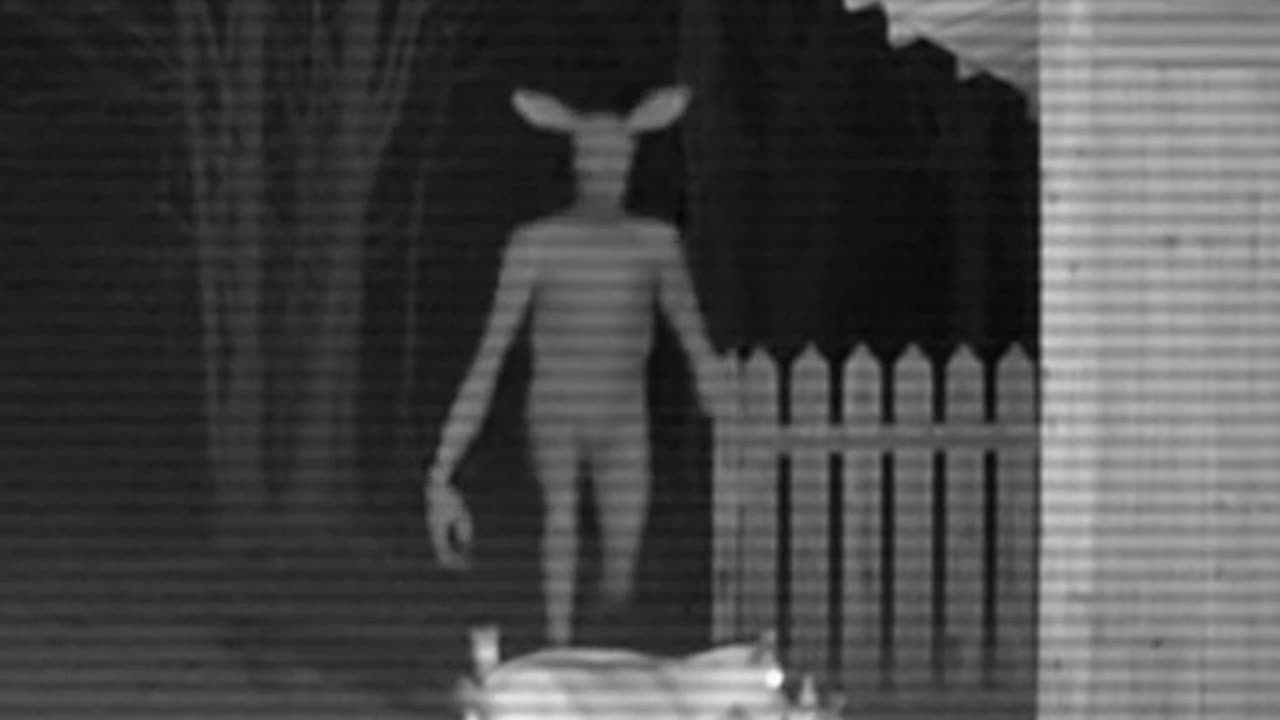 The Watcher in the Field