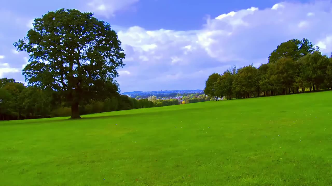 Beautiful Nature Video with cool sound.