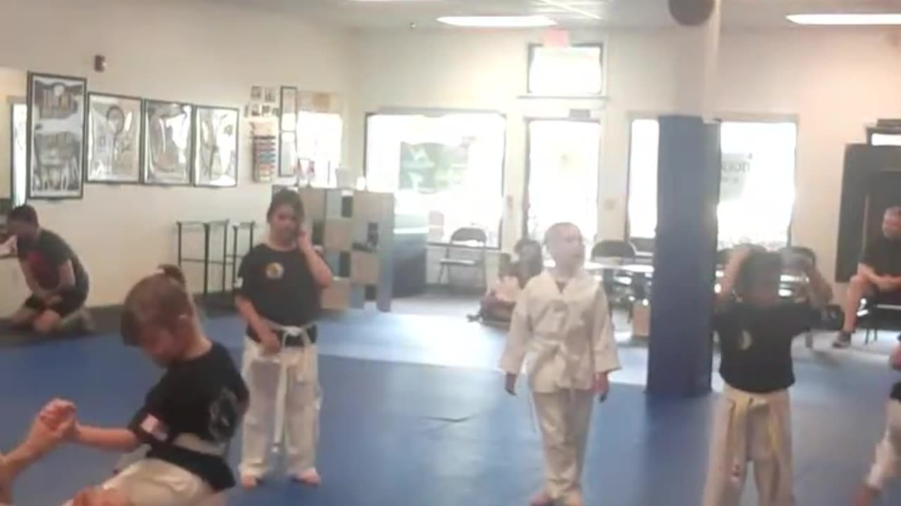 Kids Chon Tu Taekwondo Class Part 2