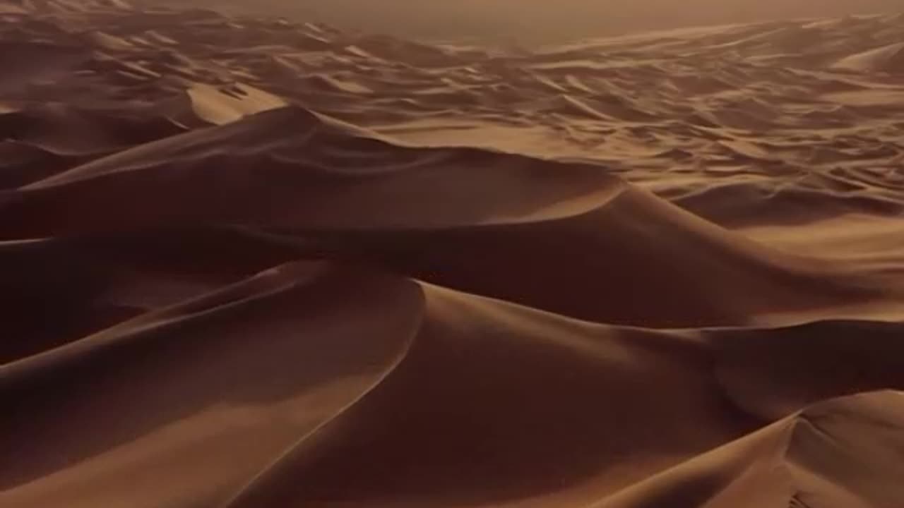 موت العالم ثلمة في الإسلام - الشيخ صالح بن محمد السويح -حفظه الله-