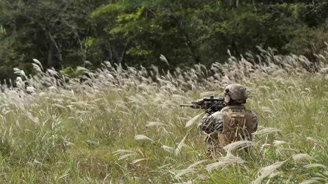 31st MEU | BLT 1/7 conducts Platoon Attacks