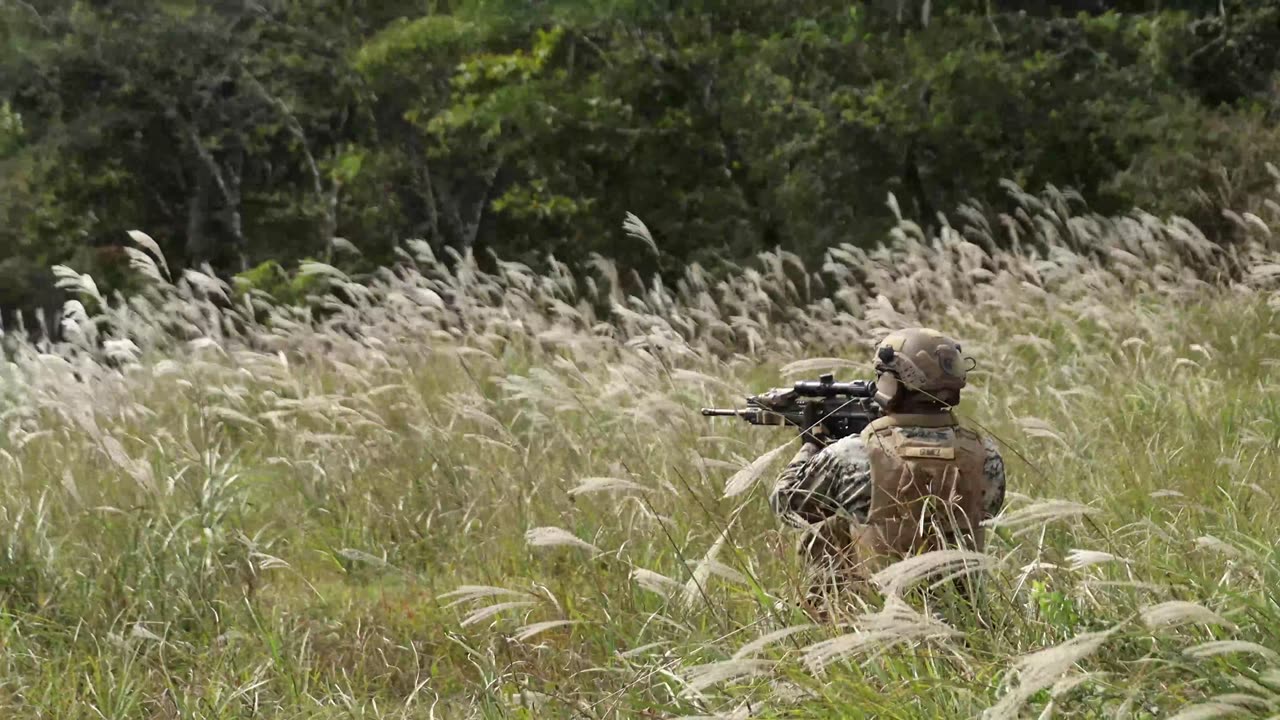 31st MEU | BLT 1/7 conducts Platoon Attacks