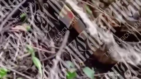 Ukraine war combat footage 9/17/25