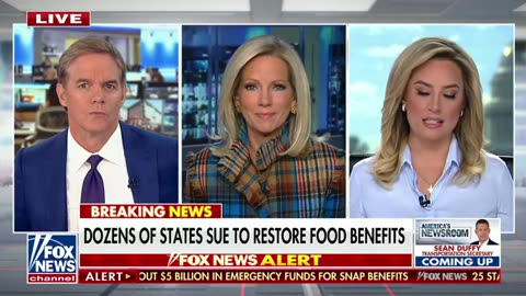 REPORT: Judge leaning toward forcing Trump to use emergency money for SNAP