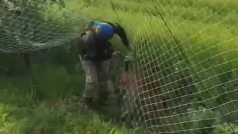 🦌🤝 Ukraine Russia War | Ukrainian Soldiers Rescue Deer in Combat Zone | RCF