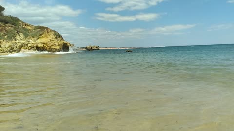 bigots bay