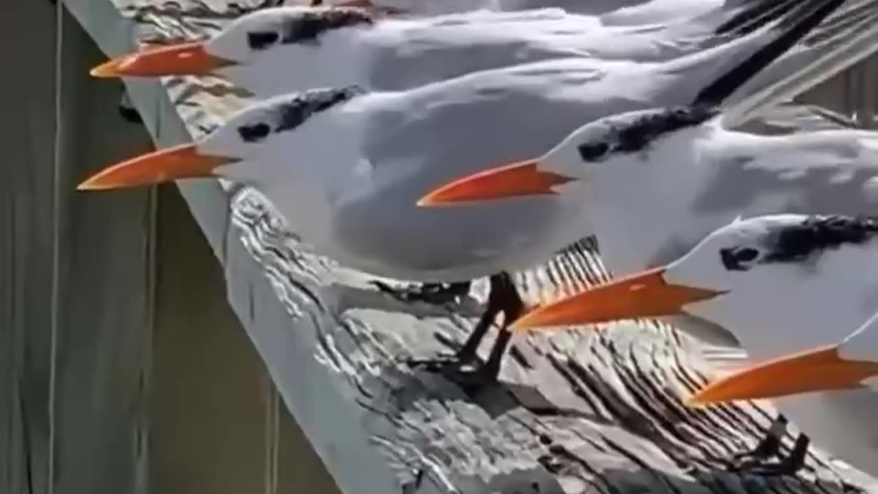 Facing wind gusts directly