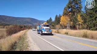 Super save Trucks that assisted in the Ostrich Massacre