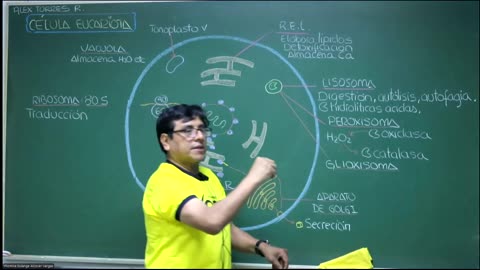 VONEX REPASO 2025 - 1 | Semana 01 | Biología S3