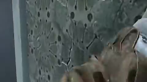 Early Game 2v2 in Dayz