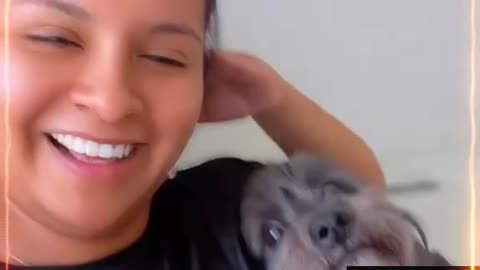 😂 🐕 Clingy Dogs #dogs #clingypets #fyp