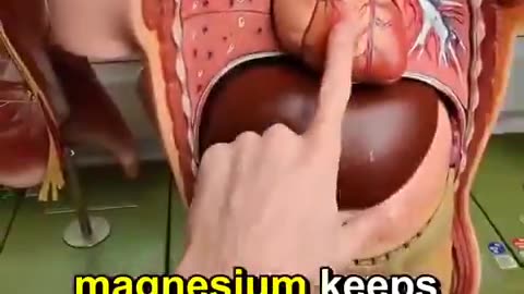 These 7 weird symptoms? Your body’s begging for magnesium... 👇🏼