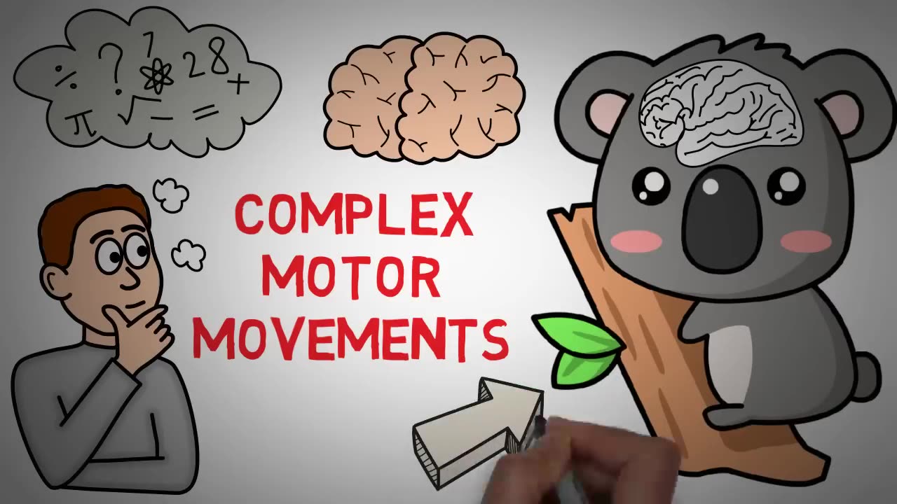 How Exercise Benefits Your Brain - Exercise and The Brain