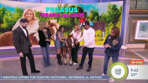 The DA February Boot Train Keeps Rolling Along