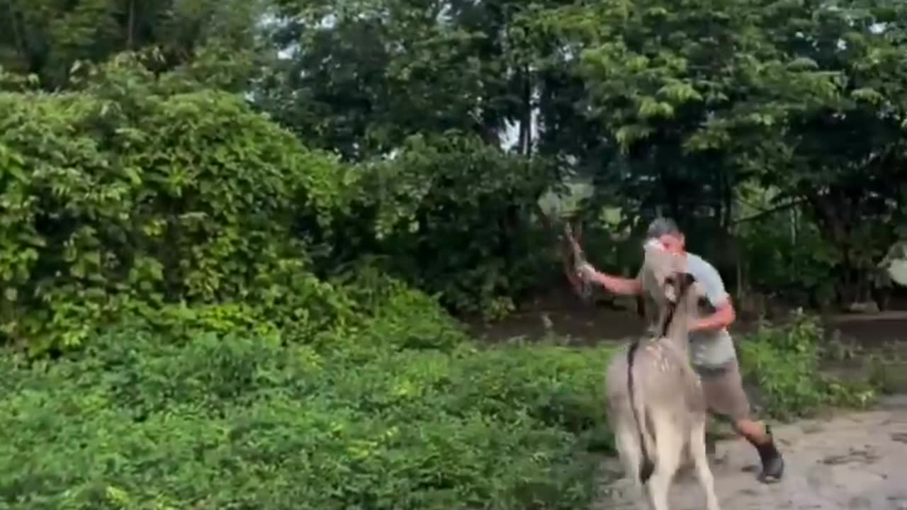 Try Not To Laugh Challenge: IMPOSSIBLE Edition!