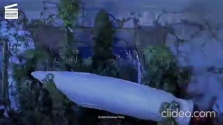 FUTURE - HIGH WIT ME (VIDEO)