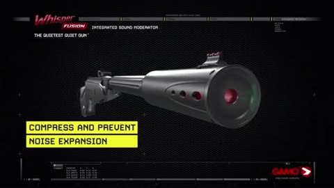 The 8 Best Air Rifles for Squirrel Hunting