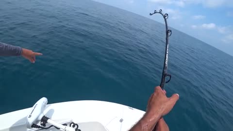 pesca a pesci grossi o big 1grande squalo martello_part15