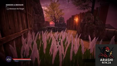 Aragami 2: Sending a Message