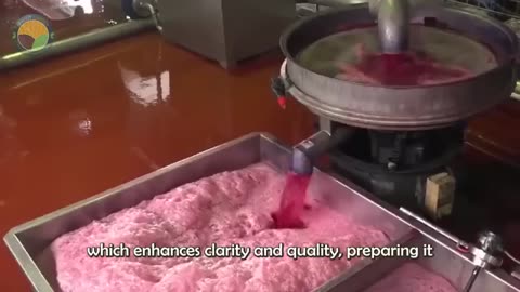 How India Farmers Harvest 30 Billion Tons of Sugarcane Processing In Factory| Farming Documentary