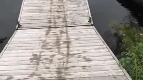 Epic Dock & Ramp Fails You Can’t Unsee | Hilarious Wipeouts & Boat Blunders