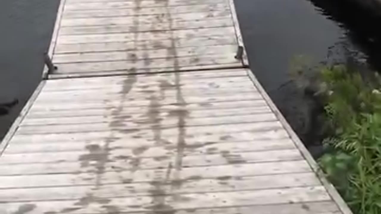 Epic Dock & Ramp Fails You Can’t Unsee | Hilarious Wipeouts & Boat Blunders