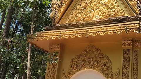 Sau lưng chùa Dơi