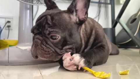 What is he eating?