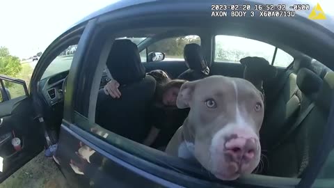 21yo Woman Turns Misdemeanor into Felony