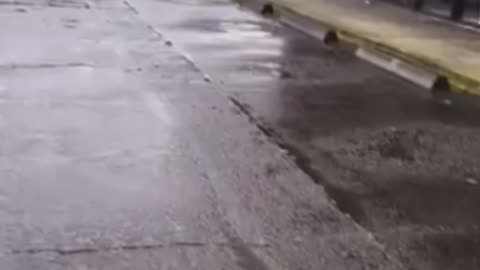 Illegal claims that ICE ran over his leg