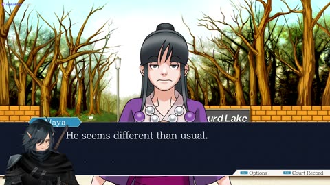 Phoenix Wright: Ace Attorney (#6) Turnabout something or other