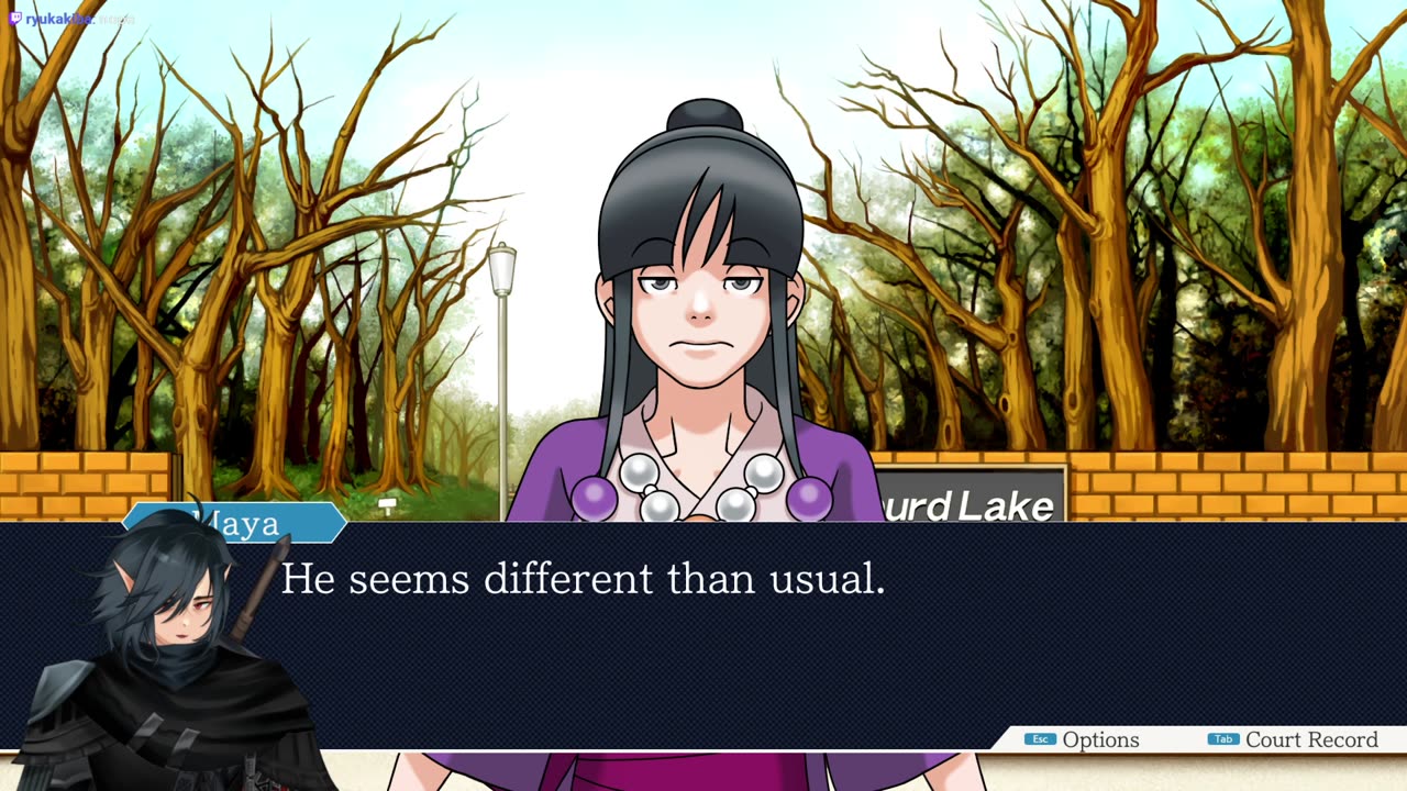Phoenix Wright: Ace Attorney (#6) Turnabout something or other