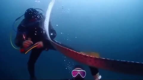 Only once in a lifetime