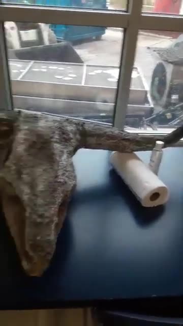 Part 30! Flashback to seeing this.