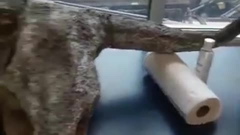 Part 30! Flashback to seeing this.