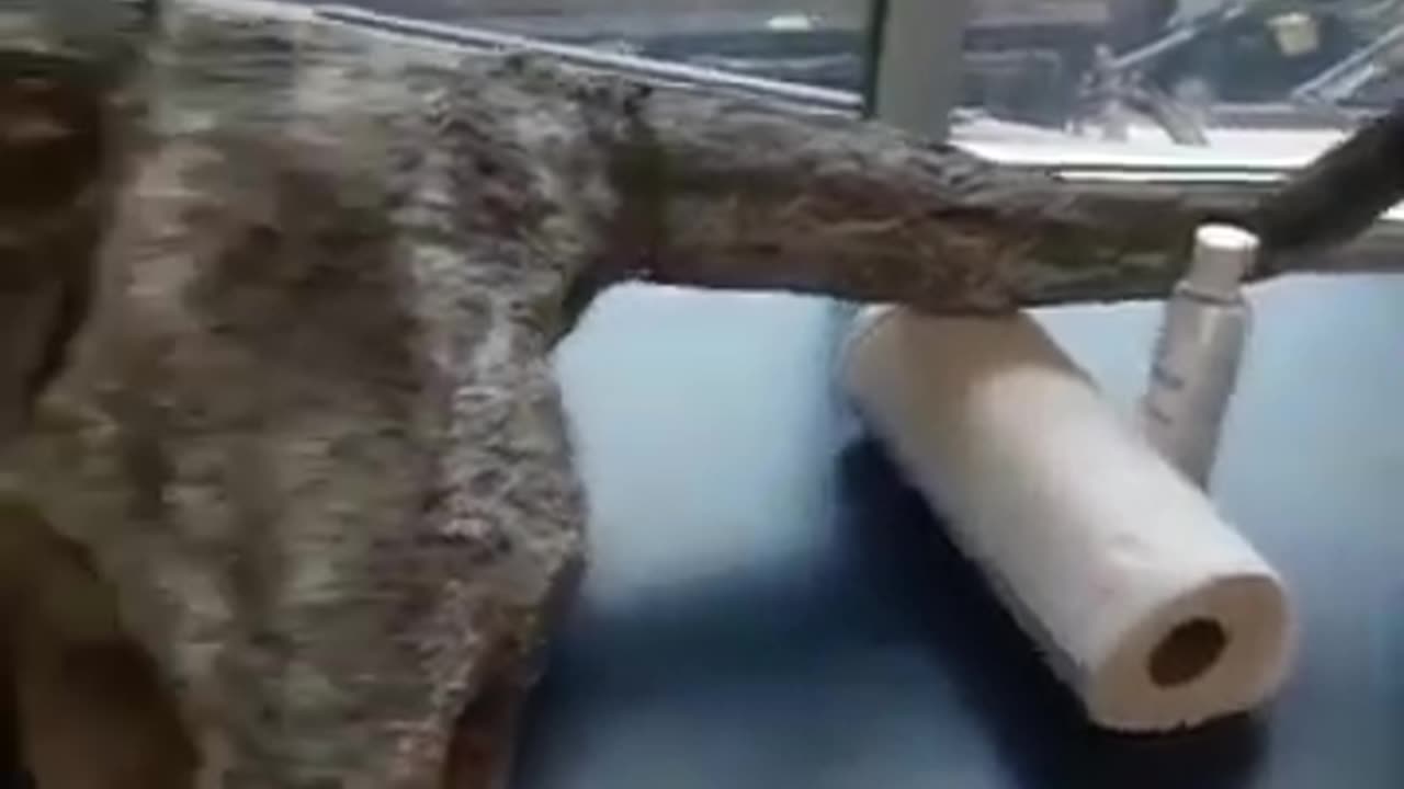 Part 30! Flashback to seeing this.