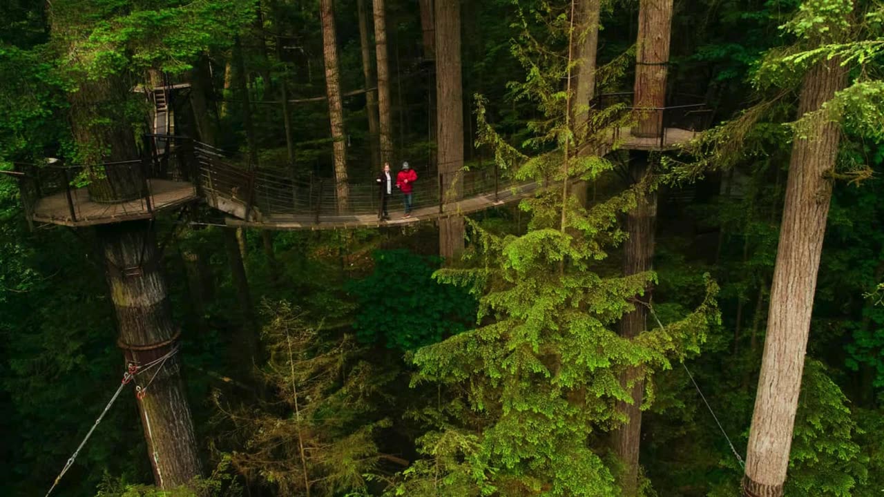 Capilano Suspension Bridge Park - www.northshoredailypost.com