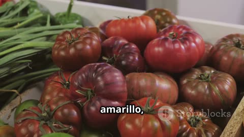 ✨ Citas y curiosidades sobre el tomate | Tomato Quotes & Facts – Español e Inglés | Fruta