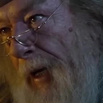 HBO Dumbledore Be Like