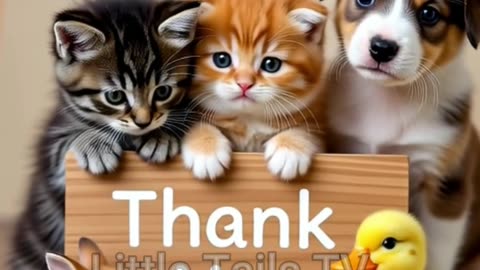 Adorable Baby Animals Compilation 🐶🐱🐰 | Little Tails TV